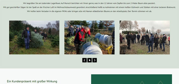 Bild-Galerie-Christbaum-Klug