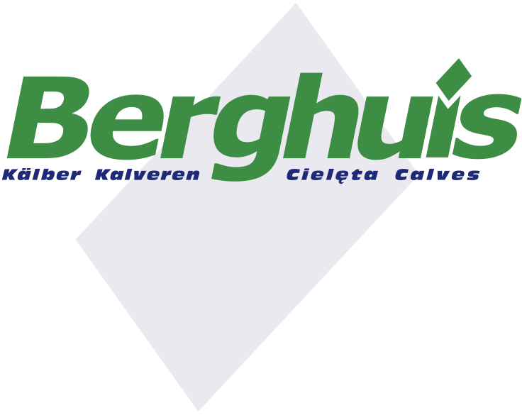 Logo-Berghuis-fuer-Referenzen