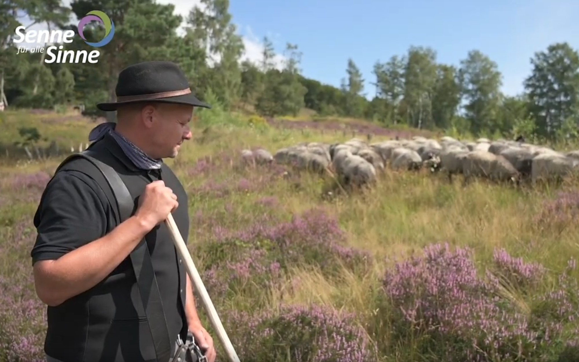 Digital Signage Senne für alle Sinne