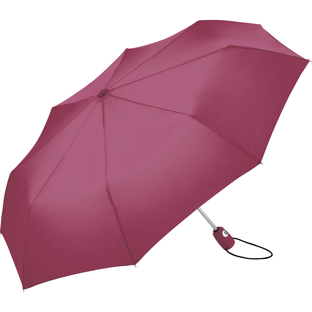 mini-pocket-umbrella-fare--aoc-bordeaux-5460_artfarbe_12292_master.jpg