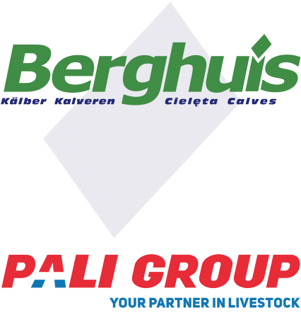 Logo-Berghuis-und-Pali