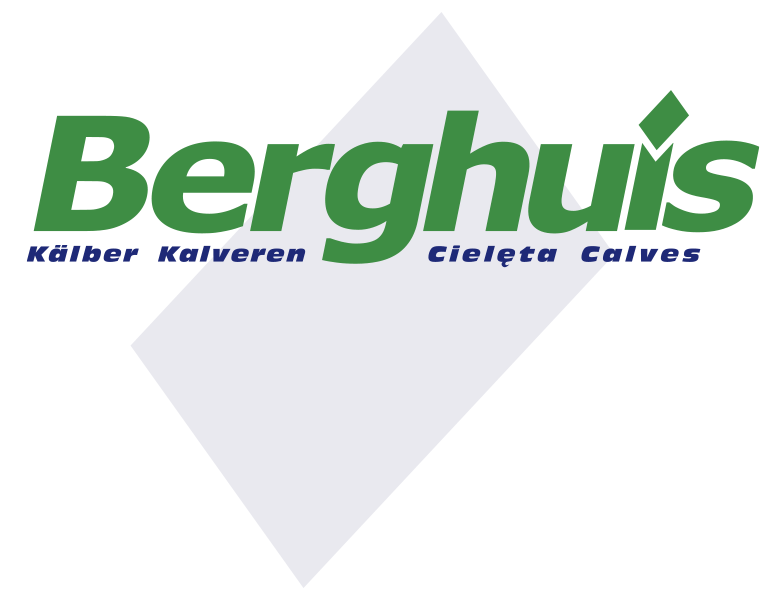 Logo-Berghuis-fuer-Referenzen